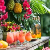 Tropical Paradise