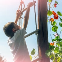 Adventure Themed Garden