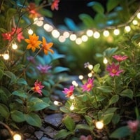 Enchanted Themed Garden