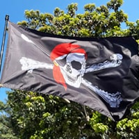 Pirate Themed Garden