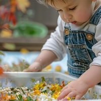 Sensory Themed Garden